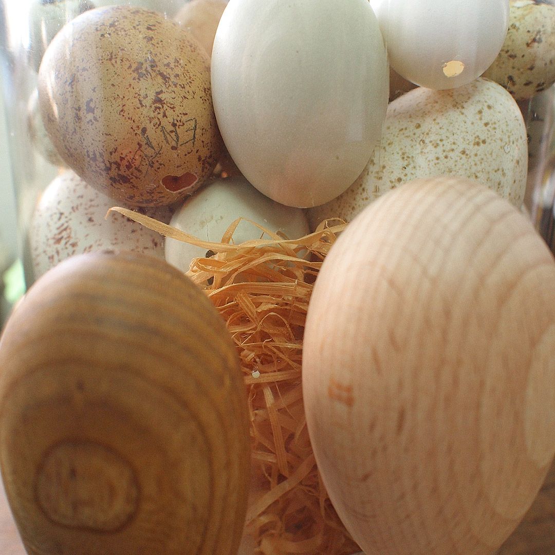 Verschieden große Eier unterschiedlicher Vögel im Glas.